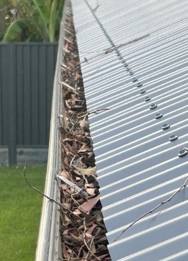 Colorbond roof gutter packed with leaves and debris before cleaning