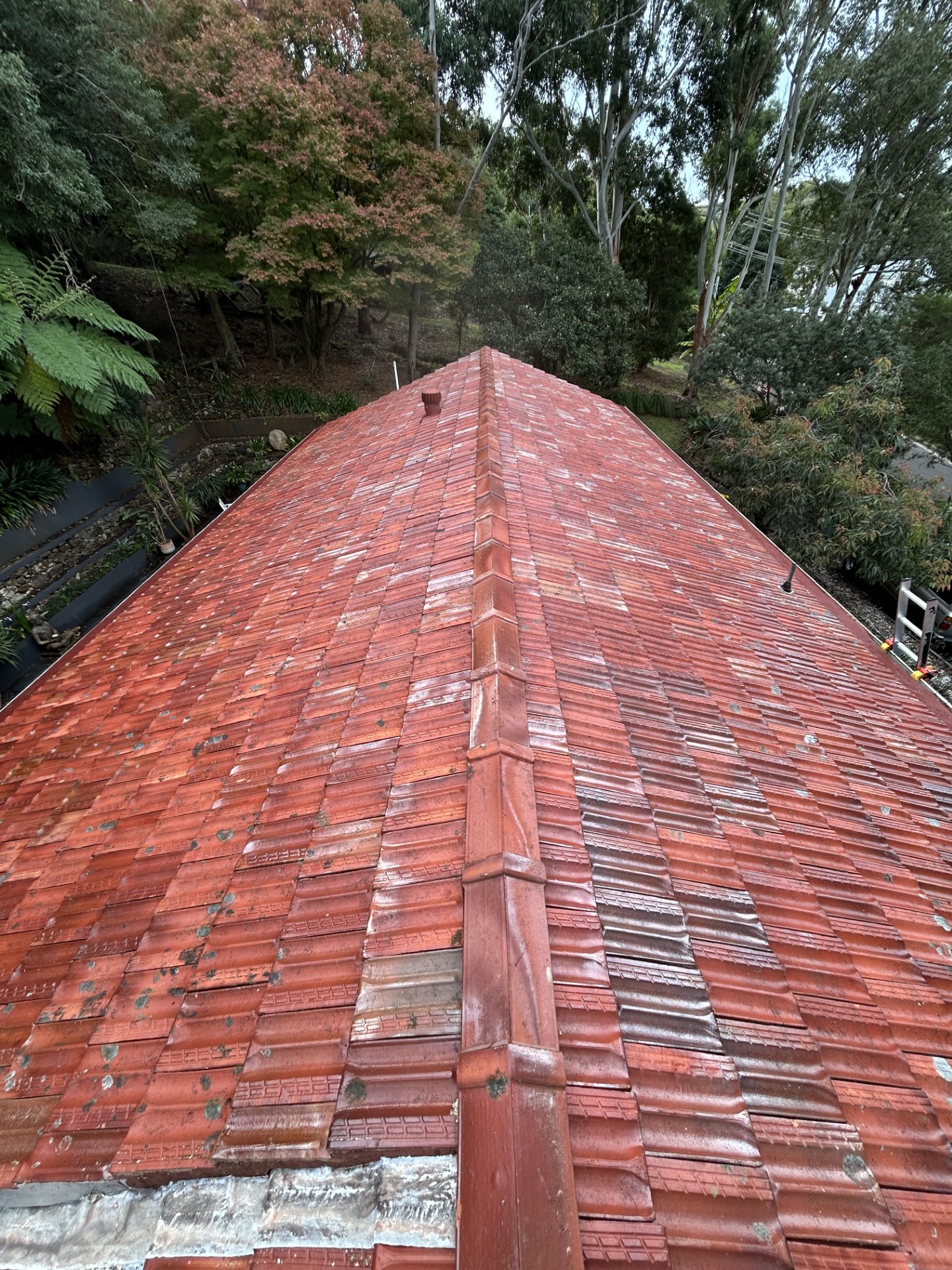 Same tile roof restored to clean red terracotta after soft wash