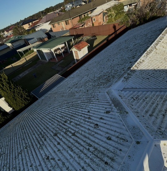 Colorbond metal roof heavily coated in lichen and organic growth before soft wash