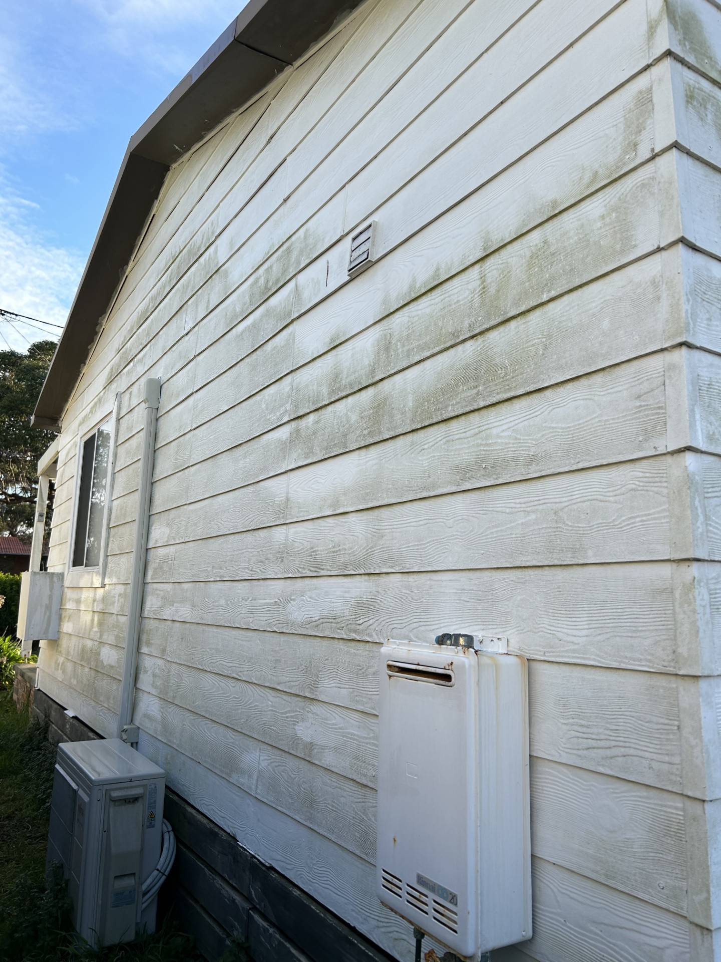 Fibro cement siding with heavy green mould before soft wash