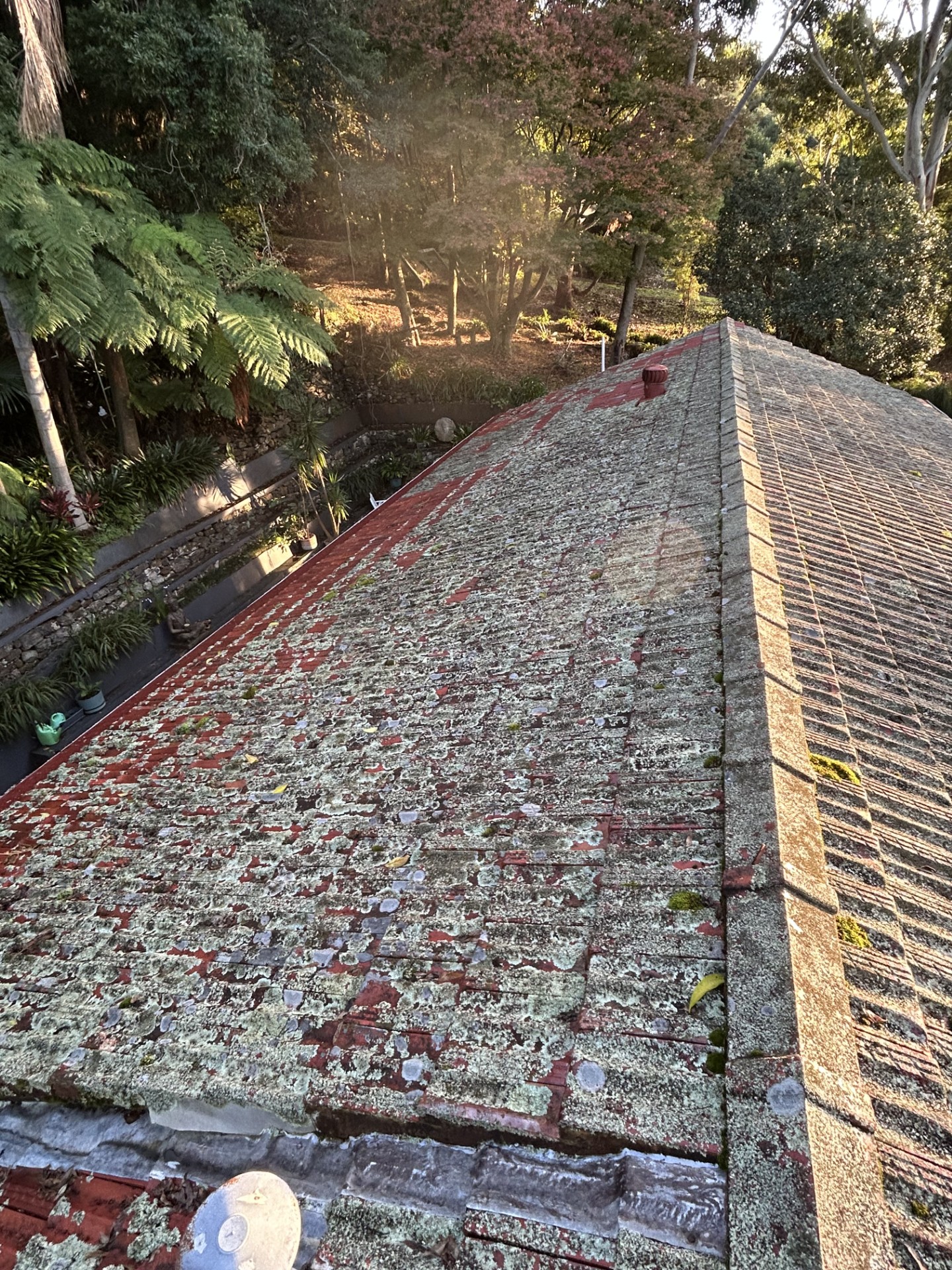 Concrete tile roof covered in lichen and moss before soft wash