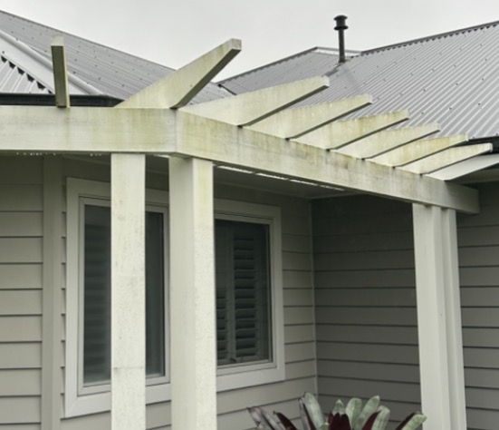 Timber patio pergola with green algae before soft wash