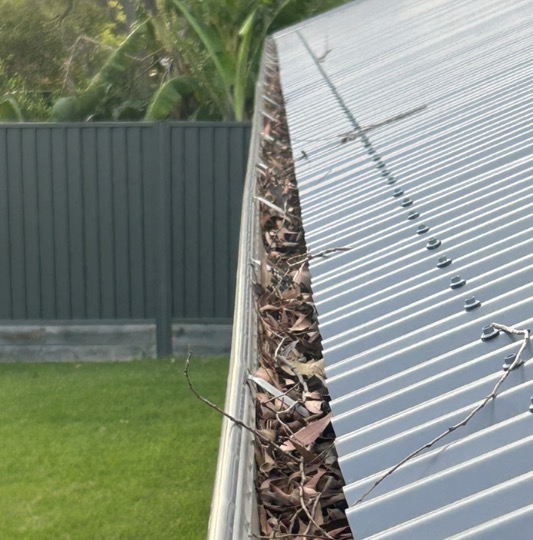 Colorbond roof gutter packed with leaves and debris before cleaning