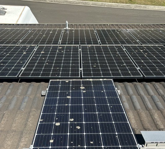 Solar panels covered in bird droppings and dust before cleaning